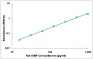 CEK1643 - Rat VEGF ELISA Kit