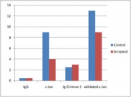 CPA1634-100ul - AP-1 / c-Jun