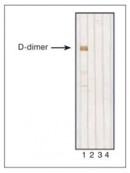 GTX10050 - D-Dimer