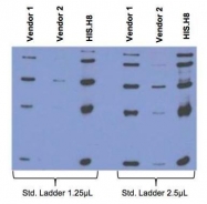 GTX18184 - 6xHistidine Epitope Tag