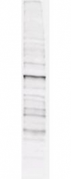 GTX22286 - Phosphothreonine