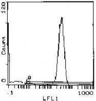 GTX29317 - T Cell Receptor (TCR) alpha/beta