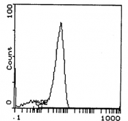 GTX74978 - T Cell Receptor (TCR) alpha/beta
