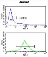 GTX80567 - Protein phosphatase 1H / PPM1H