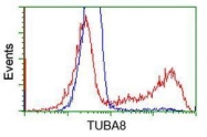 GTX83461 - TUBA8 / TUBAL2