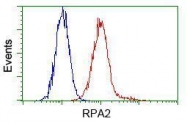 GTX83691 - RPA2