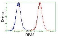 GTX83691 - RPA2