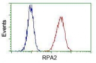 GTX83693 - RPA2