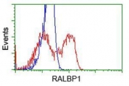 GTX83729 - RALBP1