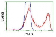 GTX83881 - PKLR