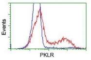 GTX83883 - PKLR