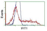 GTX84315 - IFI56 / IFIT1