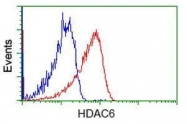 GTX84377 - HDAC6