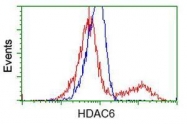 GTX84377 - HDAC6