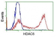 GTX84378 - HDAC6