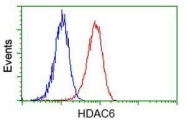 GTX84379 - HDAC6