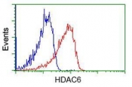 GTX84379 - HDAC6