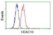 GTX84388 - HDAC10