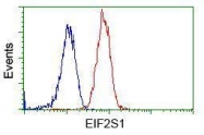 GTX84578 - EIF2A / EIF2S1