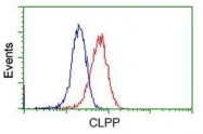 GTX84679 - CLPP