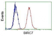 GTX84822 - BIRC7 / LIVIN