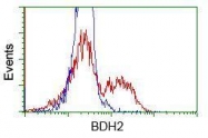 GTX84833 - BDH2