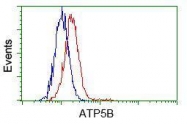 GTX84846 - ATP synthase subunit beta